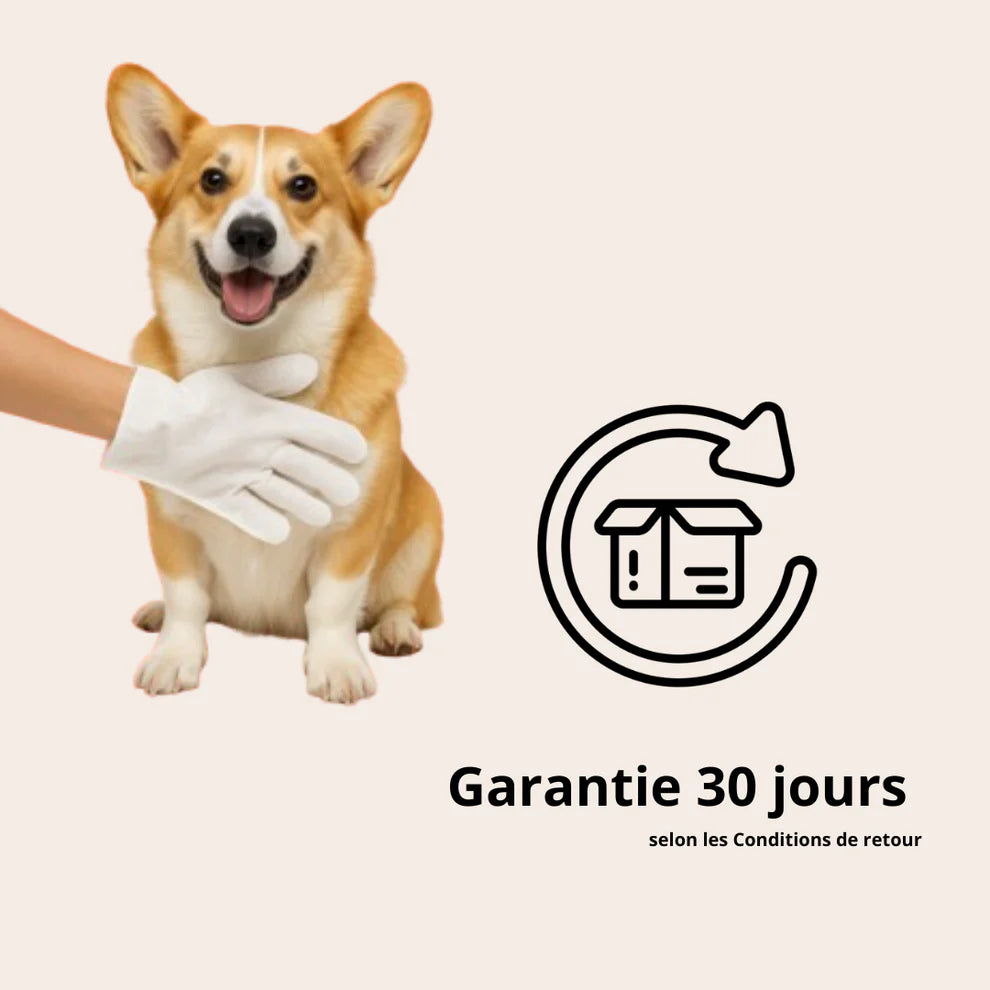 Boîte de gants nettoyants pour animaux