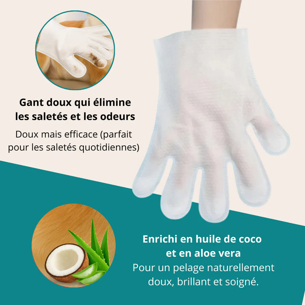 Boîte de gants nettoyants pour animaux