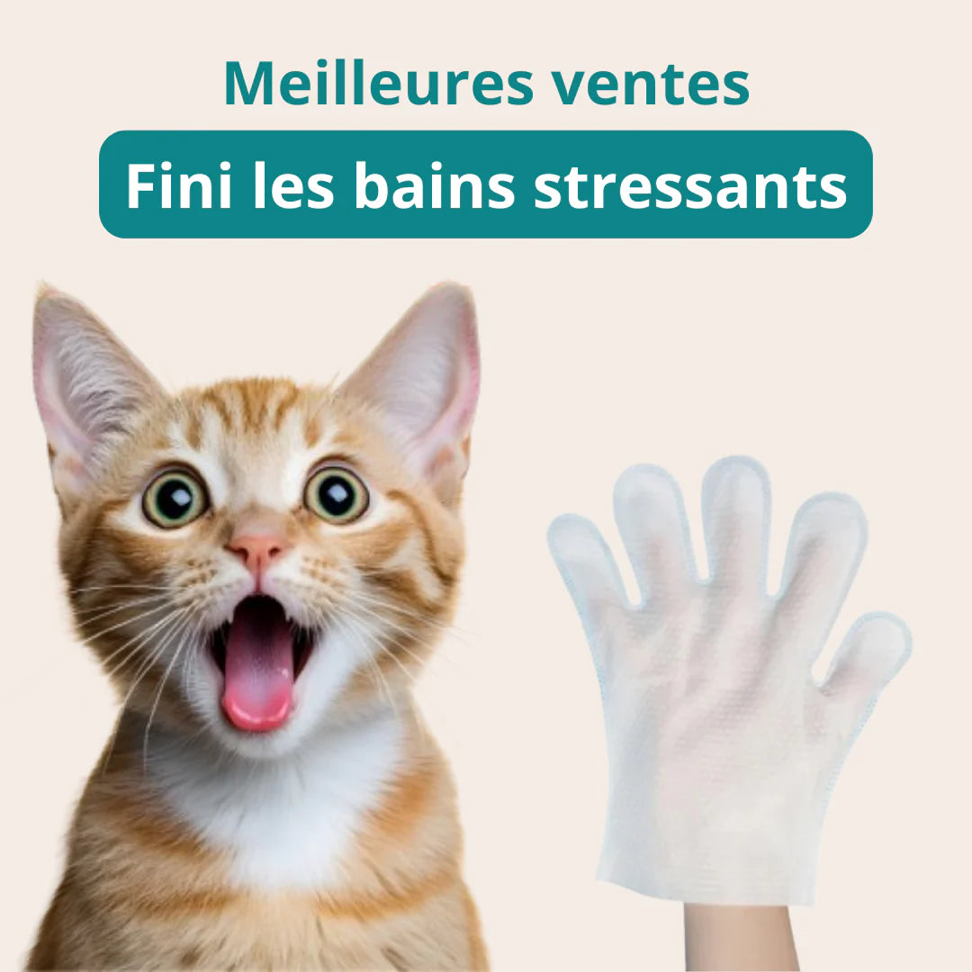 Boîte de gants nettoyants pour animaux