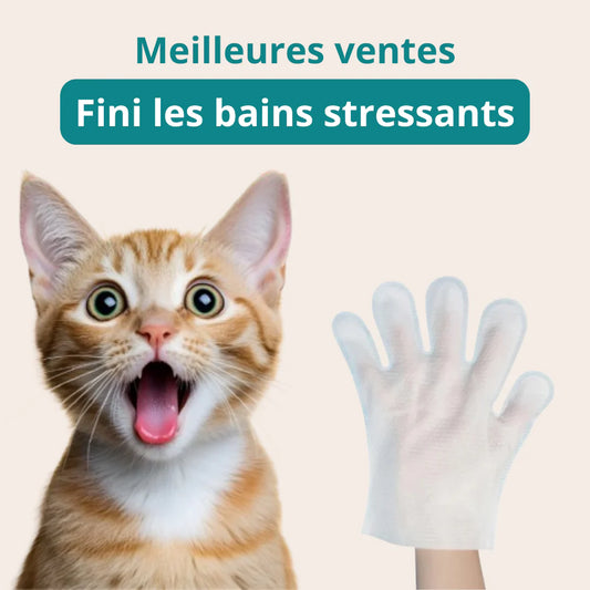 Boîte de gants nettoyants pour animaux