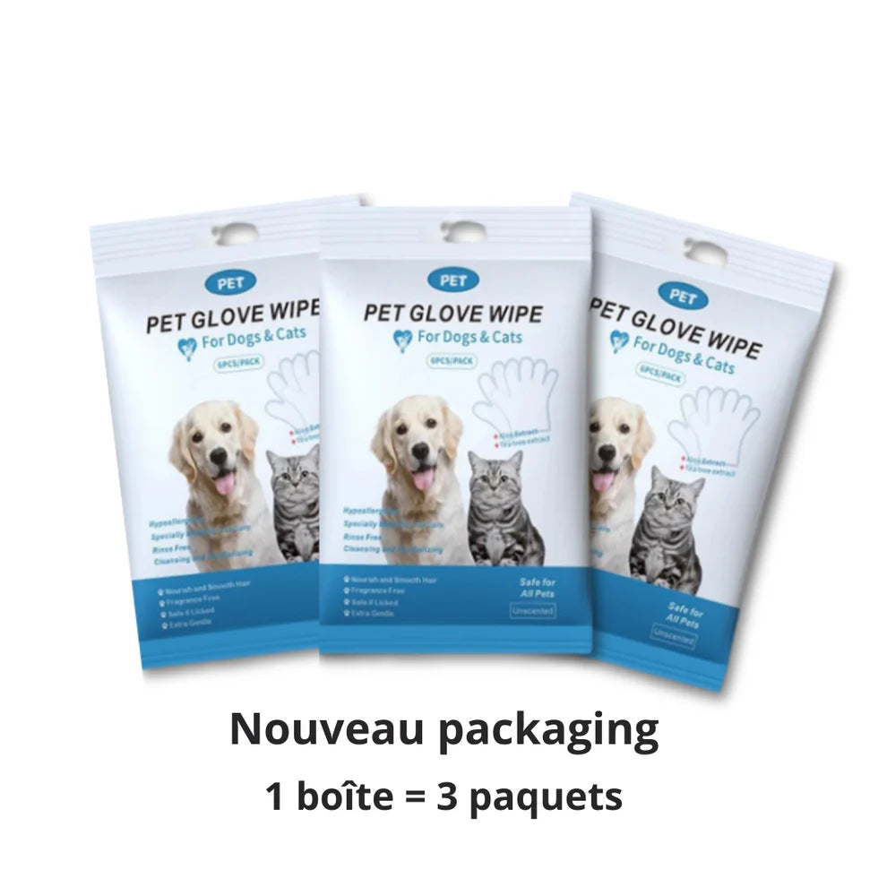 Boîte de gants nettoyants pour animaux
