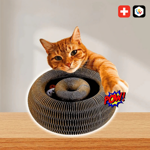 Twistou – Le jouet interactif qui capte l’attention des chats