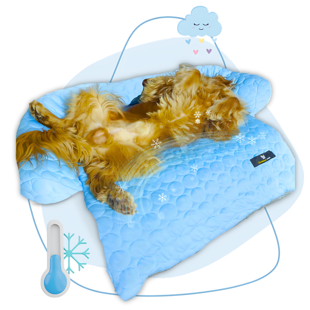 Tapis rafraîchissant pour animaux