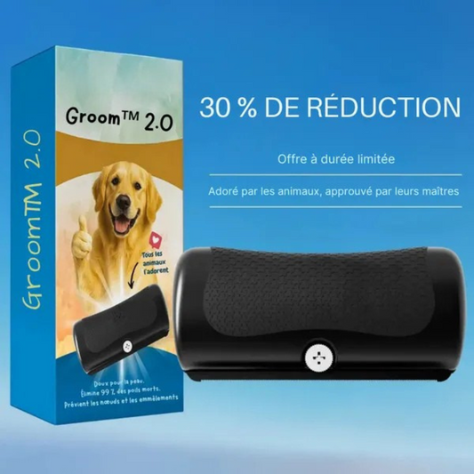 Brosse de toilettage anti-poils pour chiens et chats