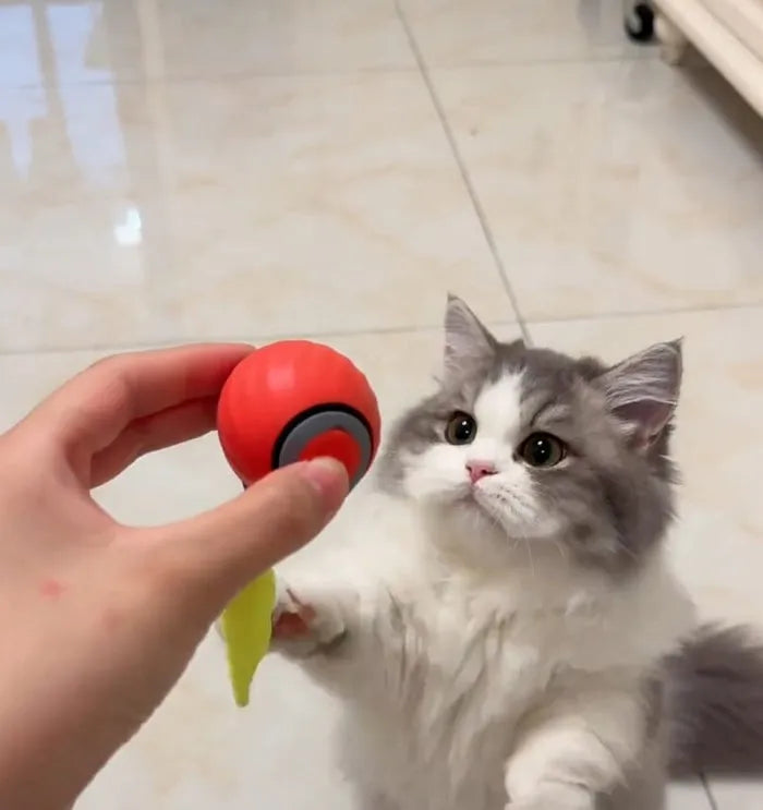 Jouet interactif pour chats - Balle Speedy 2.0