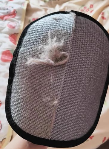 Fellmagnet – Der ultimative Pflegehandschuh für Hunde und Katzen