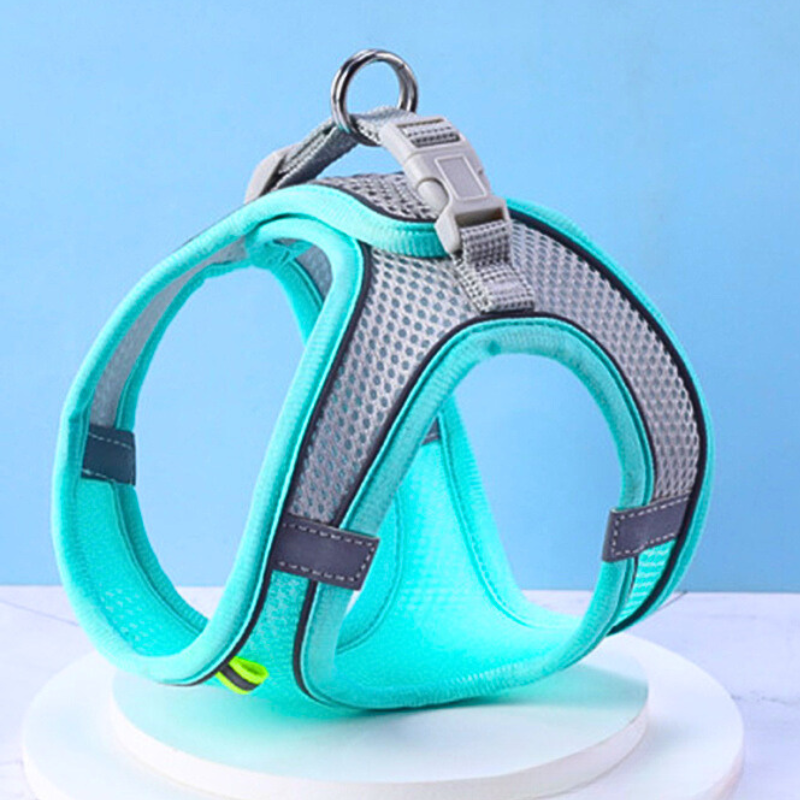 Harnais Confort Chat