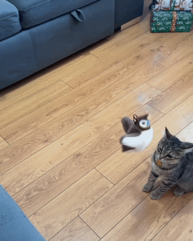 FlappyChase™ : Le jeu parfait pour votre félin !