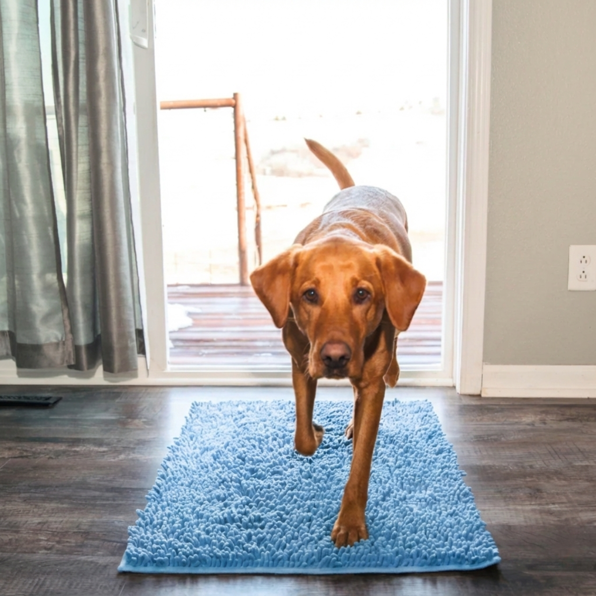 Tapis absorbant pour pattes de chien et chat