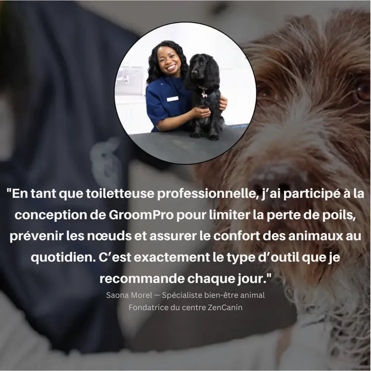 Brosse anti-poils pour animaux
