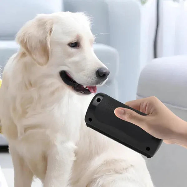 Brosse de toilettage anti-poils pour chiens et chats