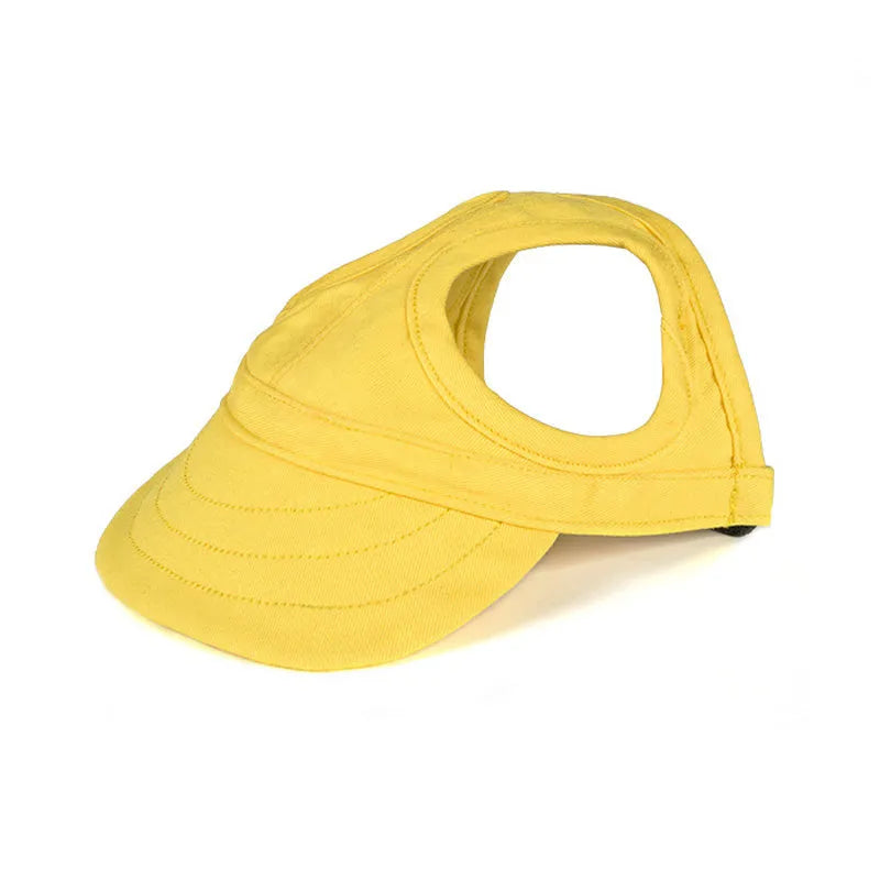 Casquette pour chien