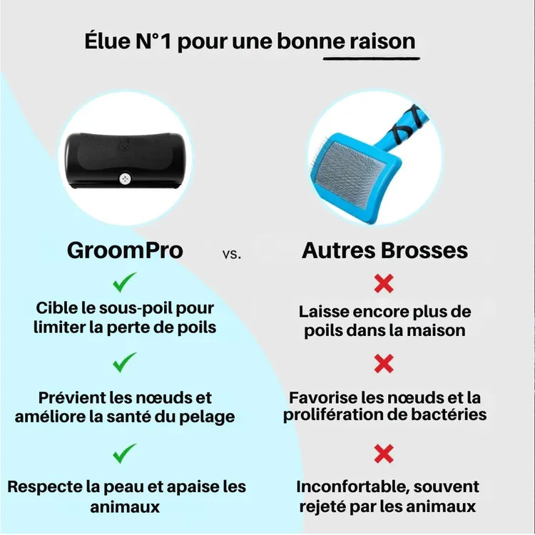 Brosse anti-poils pour animaux