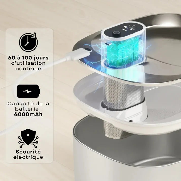 Fontaine à eau pour chats en inox