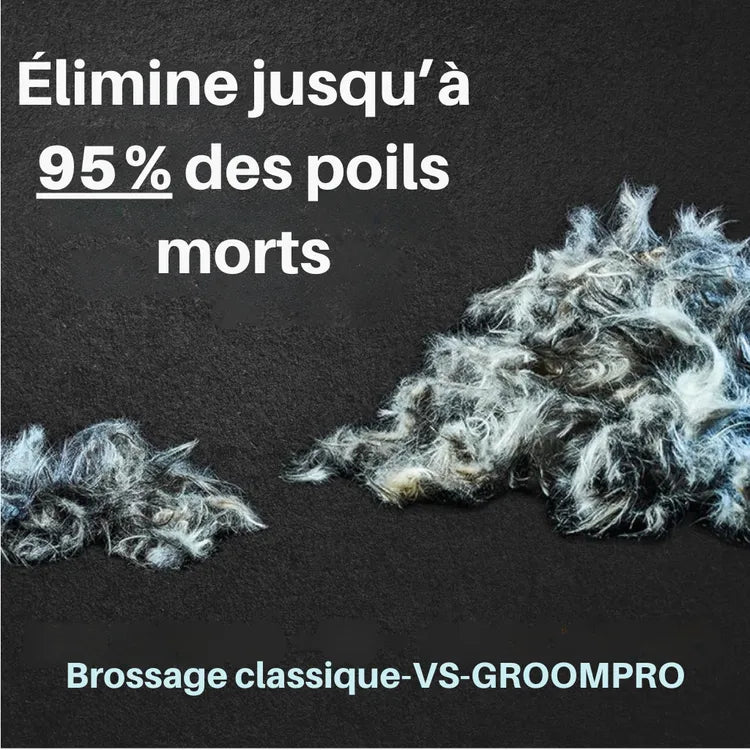 Brosse anti-poils pour animaux