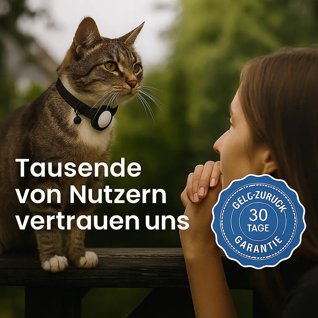 Collier GPS pour chats