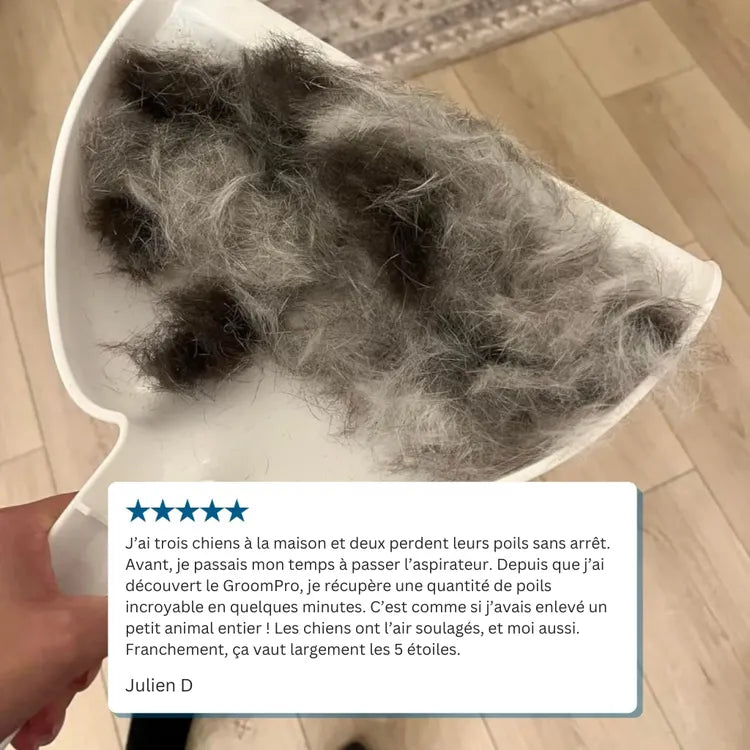 Brosse anti-poils pour animaux