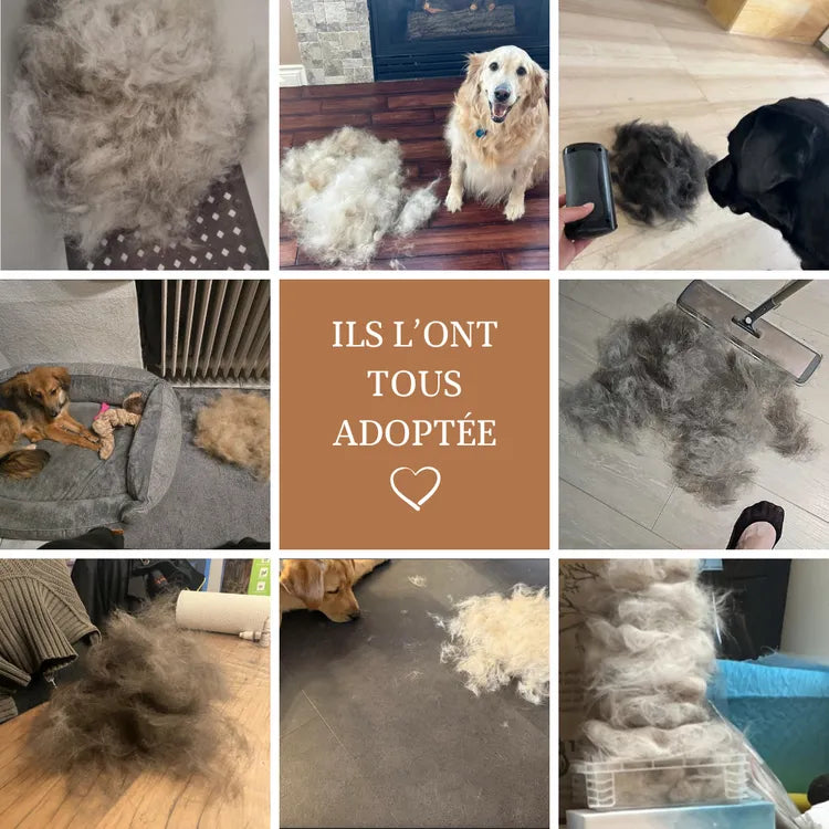 Brosse anti-poils pour animaux