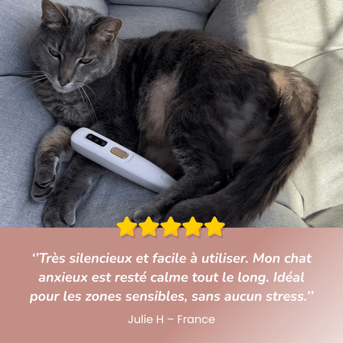 Tondeuse silencieuse pour chats