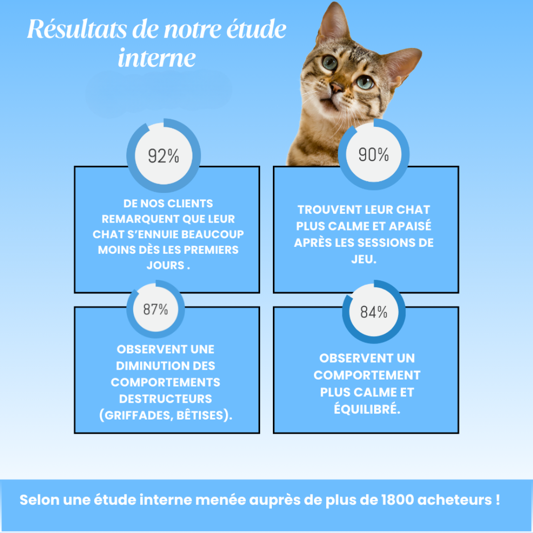 Interaktive Spielmatte für Katzen