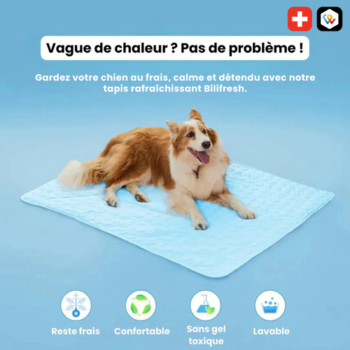 Selbstkühlende Matratze für Hunde
