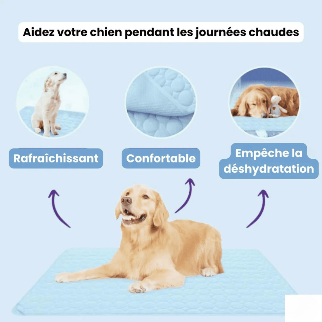 Selbstkühlende Matratze für Hunde