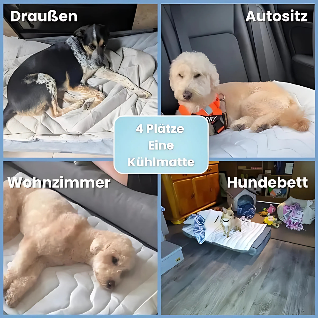 Selbstkühlende Hundematte