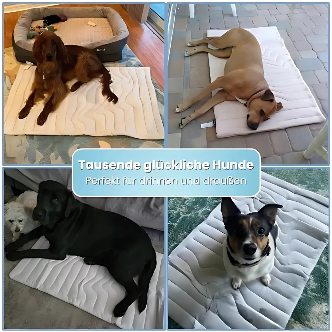 Selbstkühlende Hundematte