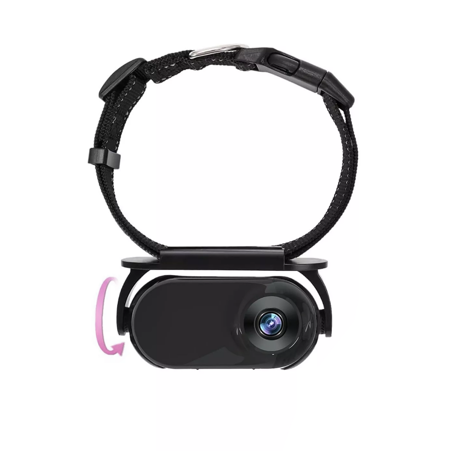 Miniaturkamera für Katzenhalsbänder - Immersive 360°-Ansicht