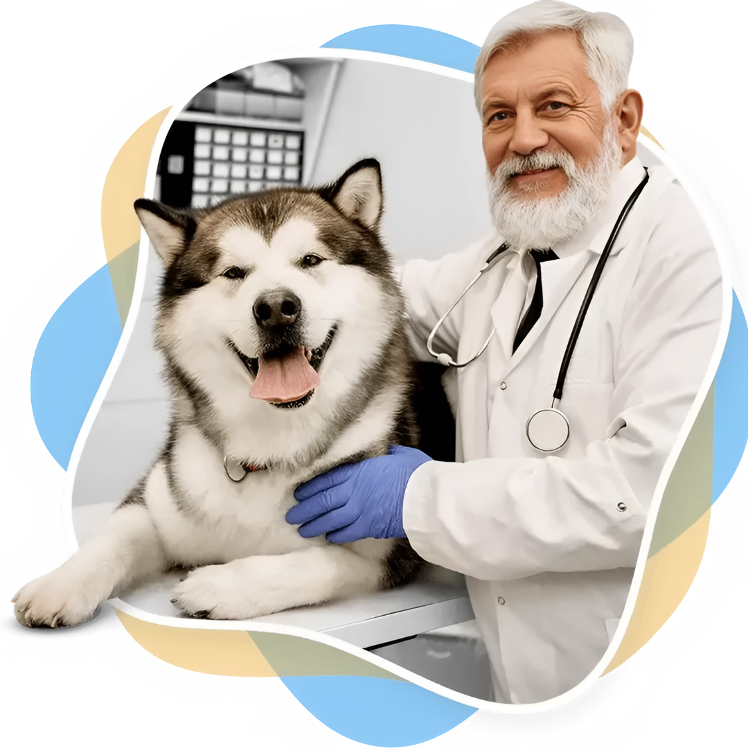 Selbstkühlende Hundematte