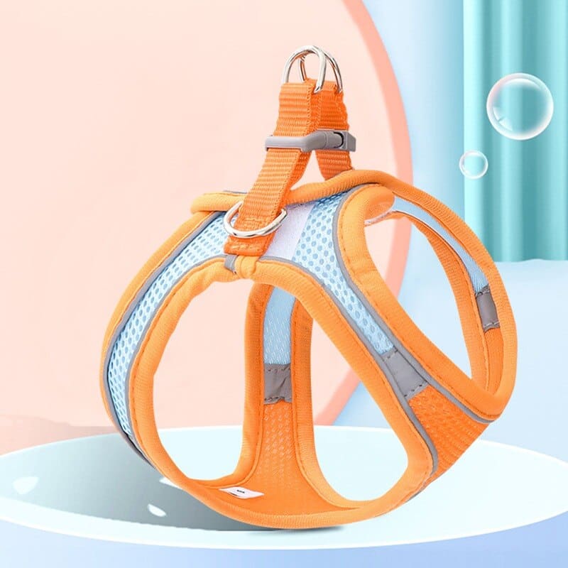 Katzenkomfortgeschirr