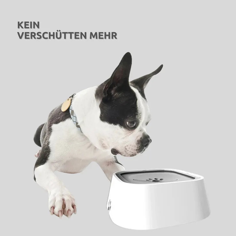 Anti-Spritz Wassernapf für Hunde