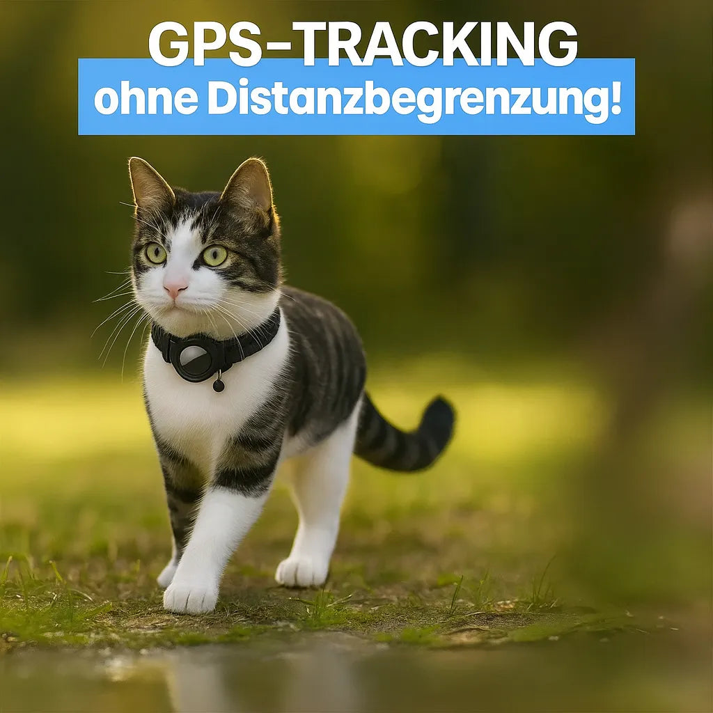 GPS-Halsband für Katzen