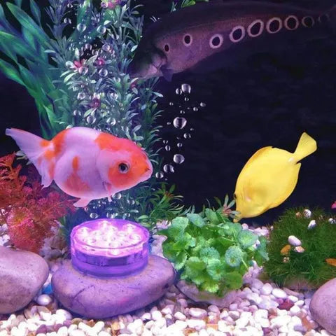 Wasserdichte mehrfarbige LED-Lampen