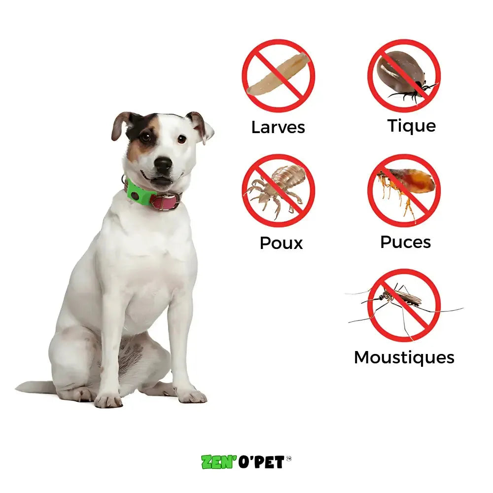 Floh- und Zeckenhalsband für Hunde