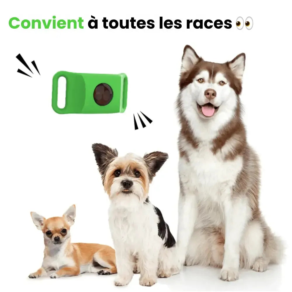 Floh- und Zeckenhalsband für Hunde