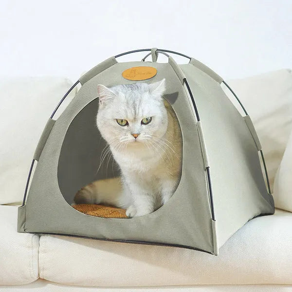 Katzen Kühlzelt