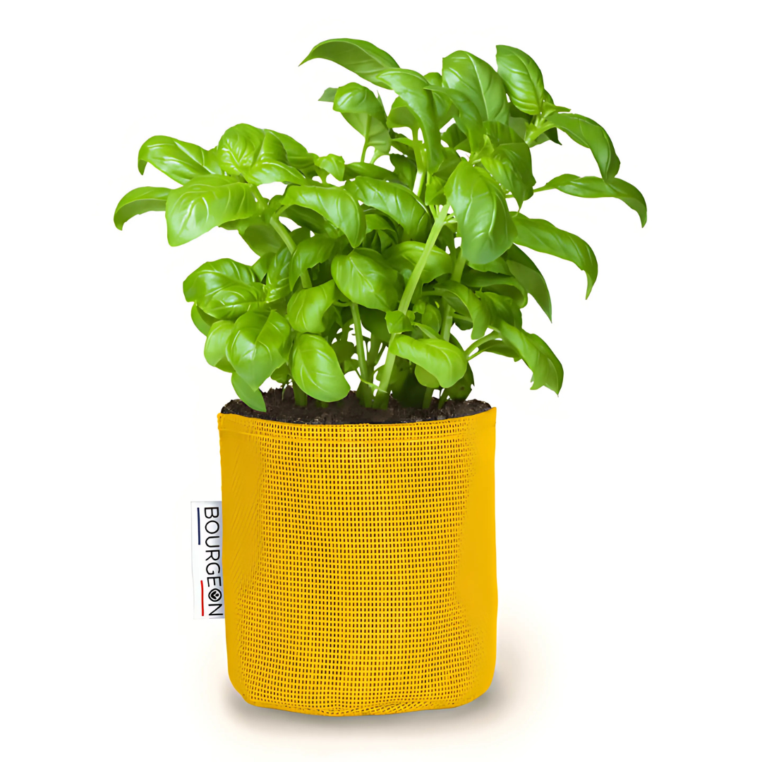 Vaso auto-irrigante in evoluzione