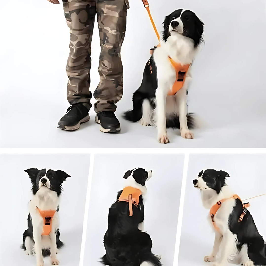 Hundegeschirr 2 in 1 con clip frontale