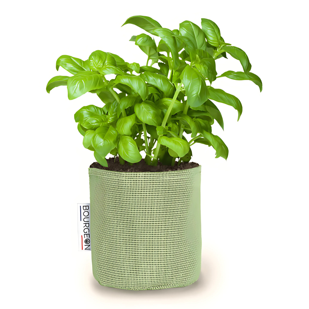 Vaso auto-irrigante in evoluzione