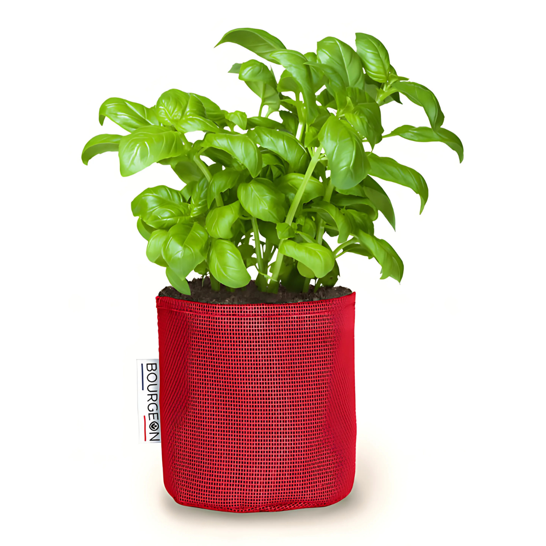 Vaso auto-irrigante in evoluzione
