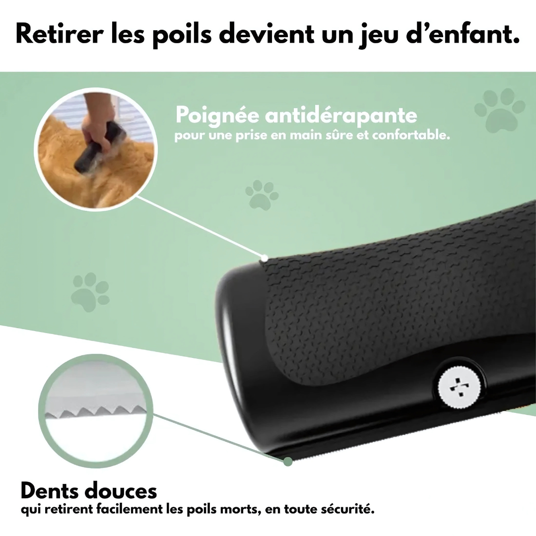 Spazzola per cani