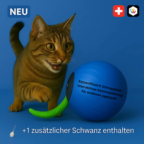Palla di zucchero Katzenflitzer