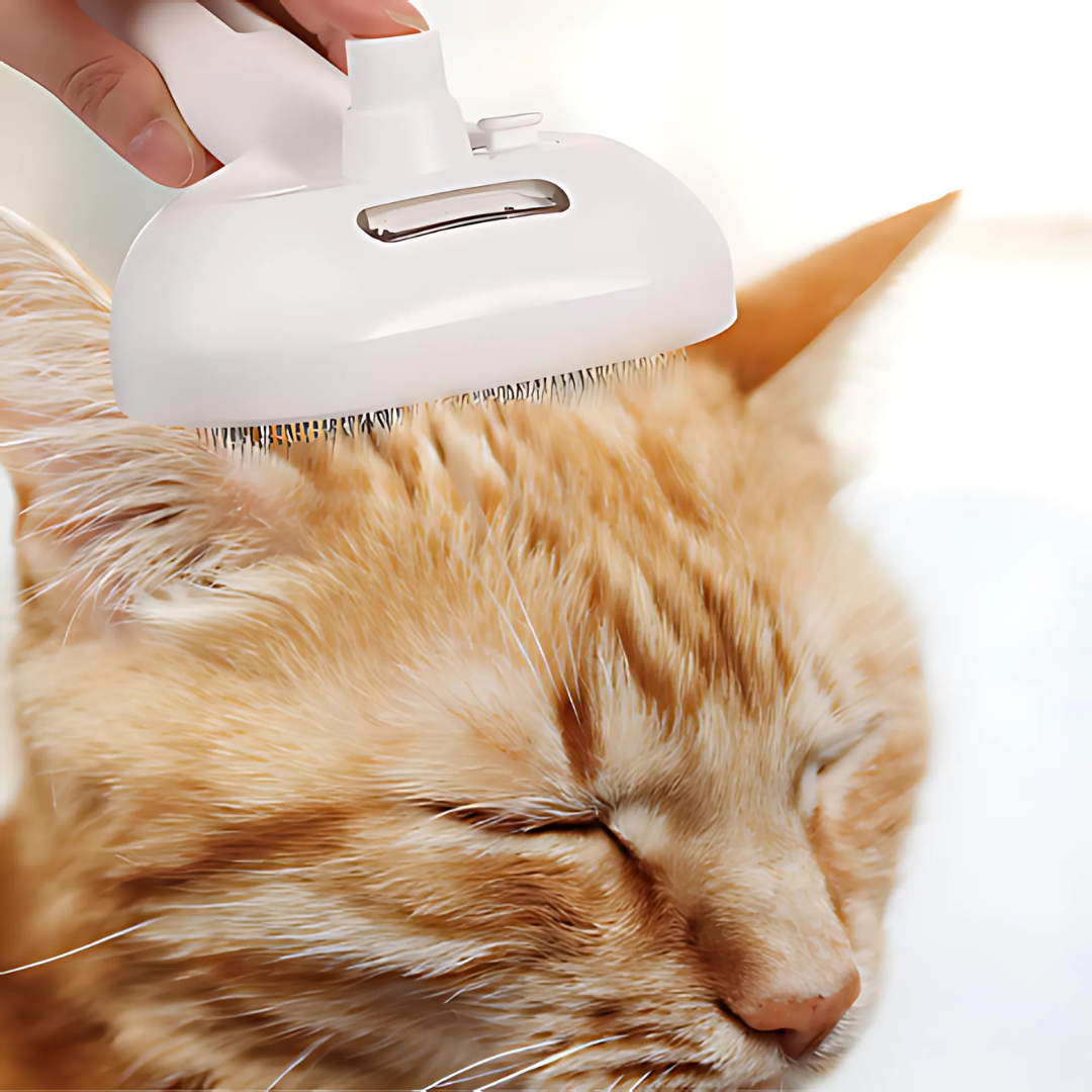 Cuscini per cani e gatti