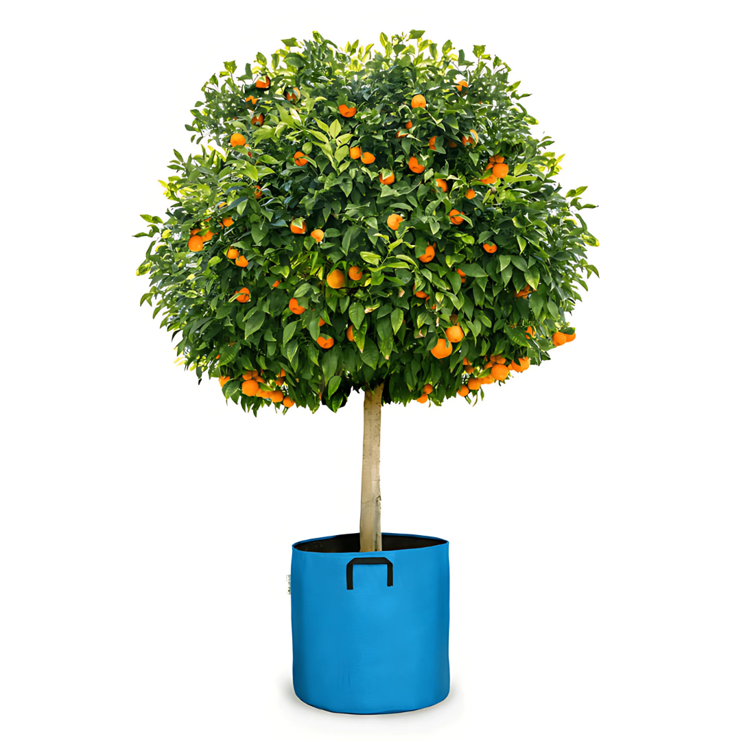 Vaso auto-irrigante in evoluzione