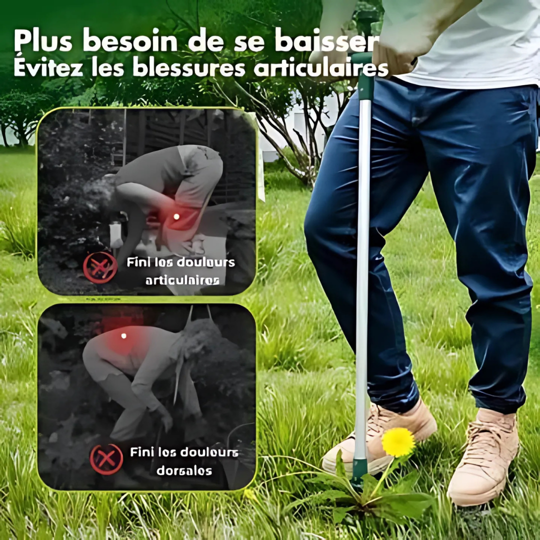 Estrattore telescopico di erbacce