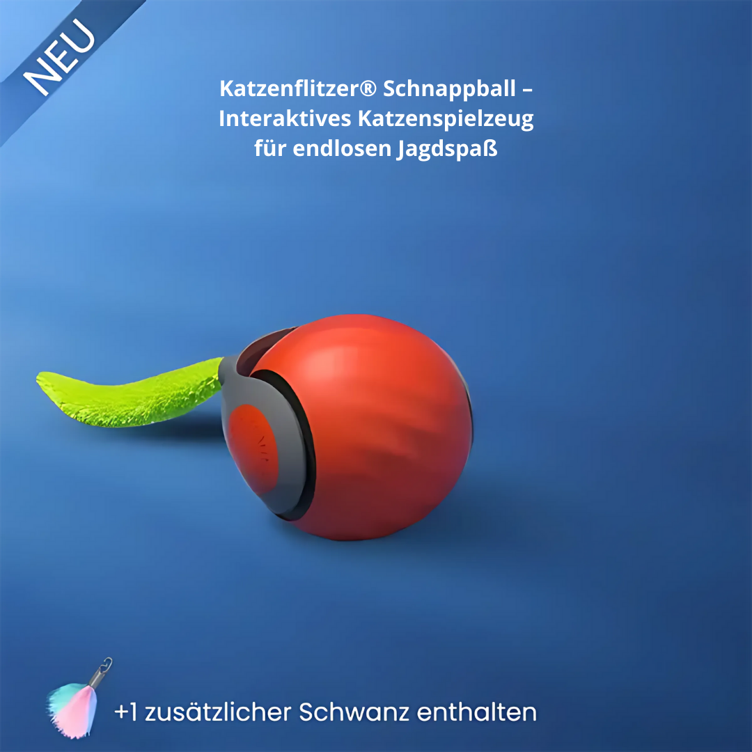 Palla di zucchero Katzenflitzer