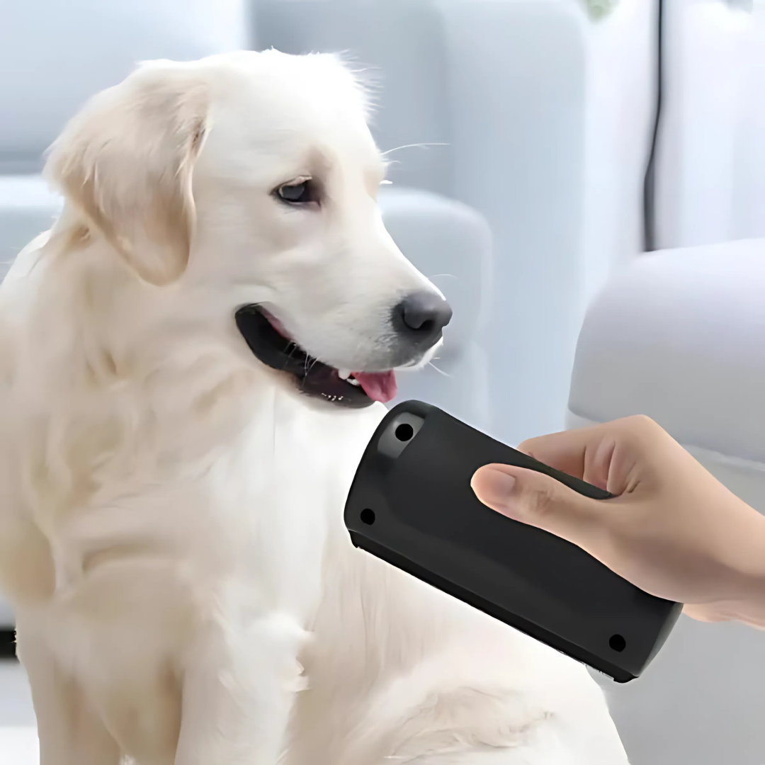 Spazzola per cani