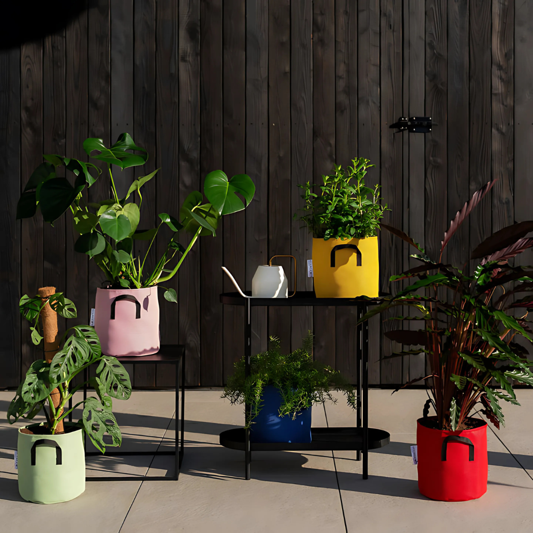 Vaso auto-irrigante in evoluzione