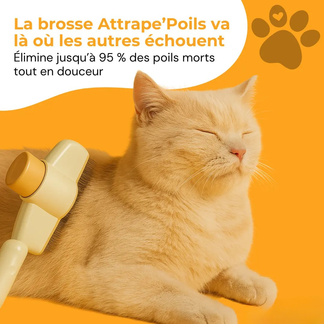 Spazzola per peli di gatto